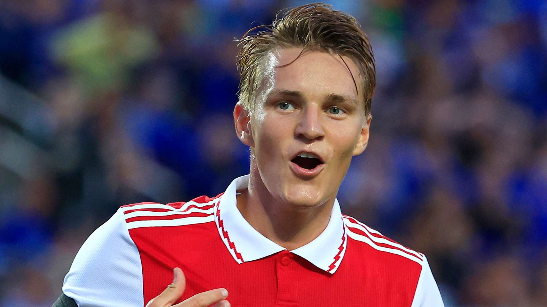 而費內巴切 而費內巴切