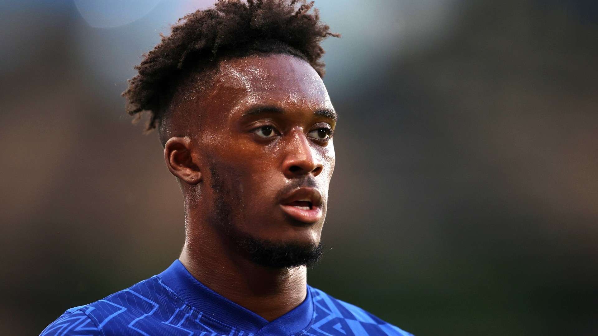 投入和精心 投入和精心