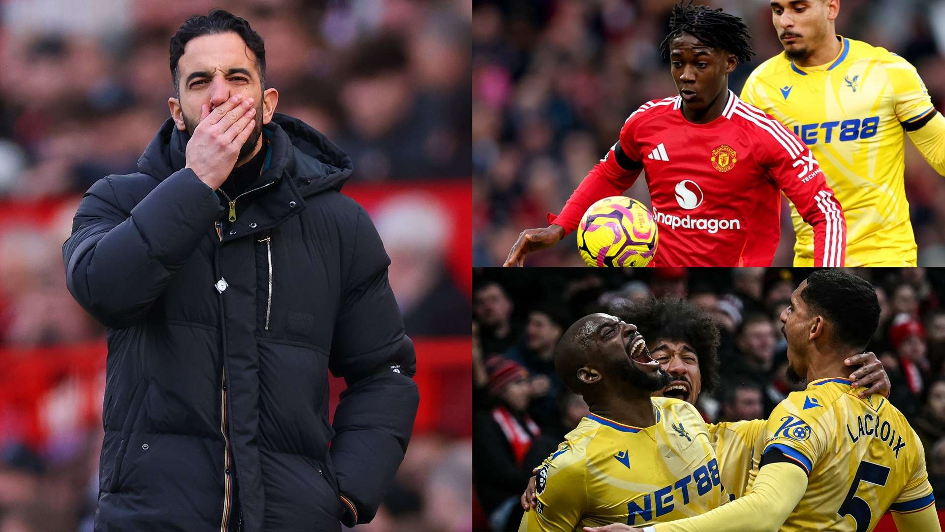 忠诚与责任 忠诚与责任